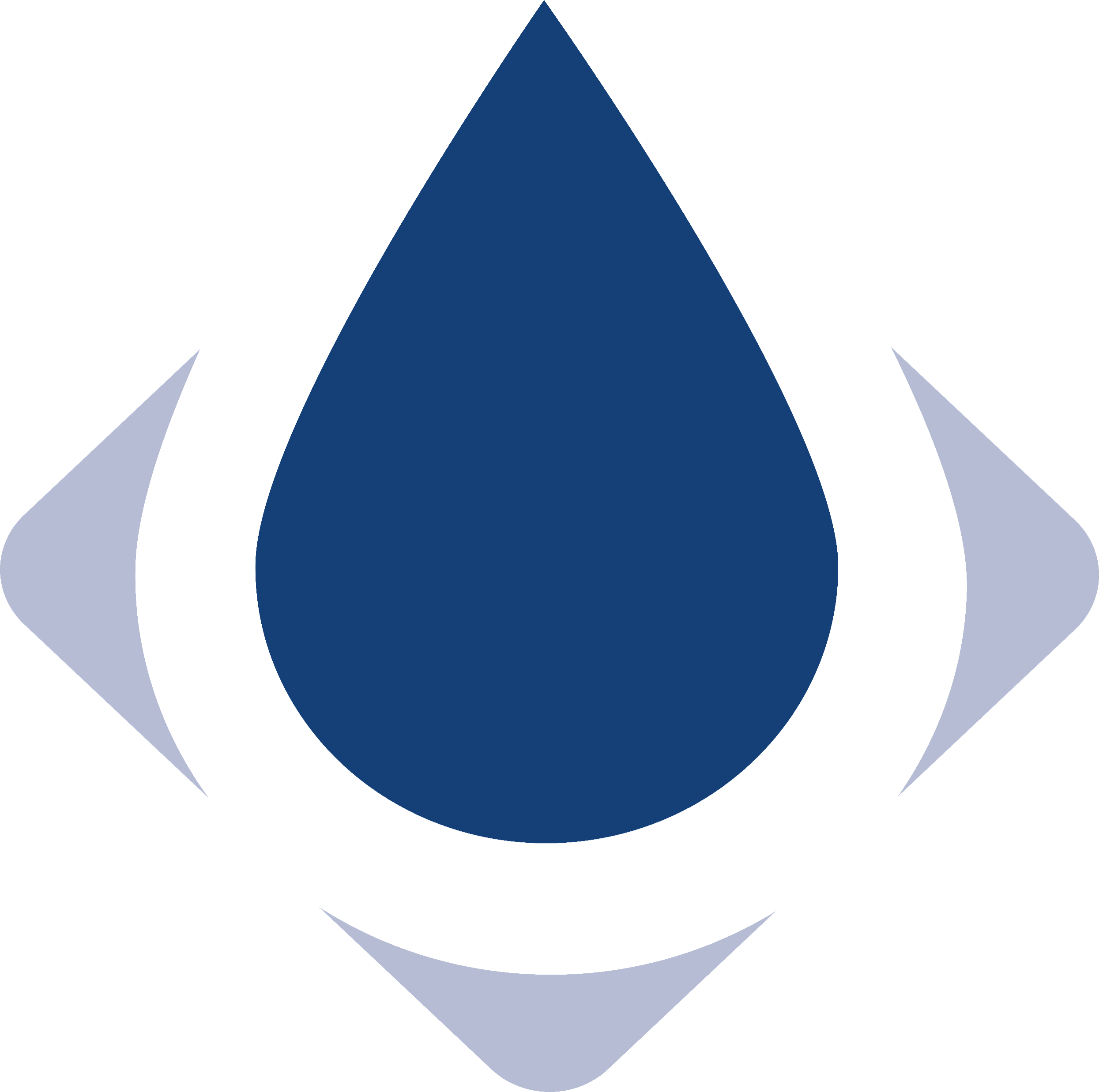 SiccaDania Americas logo